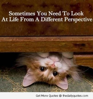 ... You Need To Look At Life From A Different Perspective. ~ Cat Quotes