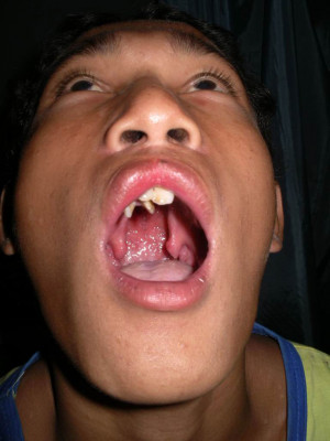 Funny Quotes Contact Dmca...