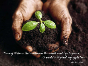 ... would go to pieces, I would still plant my apple tree. Martin Luther