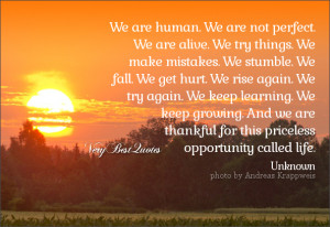 We Are Human. We Are not Perfect We Are Alive. We Try Things We Make ...