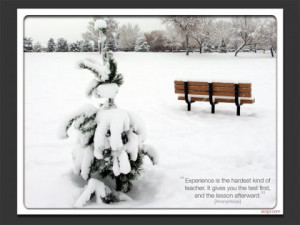 Snowy Tree and Park Bench Wallpaper