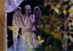 doctor who dw Sally Sparrow