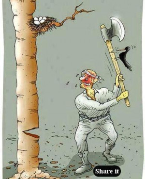 Have a Beautiful Day | Best Quotes on Friendship