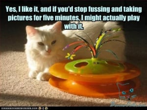 hump day quotes 26 funny wednesday quotes wednesday wednesday 02