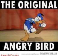 This Is The Original Angry Bird Don't Forget Funny Cute Picture >