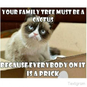 Grumpy cat funny, grumpy cat humor, grumpy cat meme, sarcastic funny ...