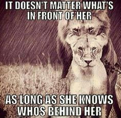 Lioness quote.