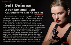 Displaying 18> Images For - 2nd Amendment School Poster...