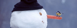 Funny Snowman Facebook Covers Funny snowman fb cover