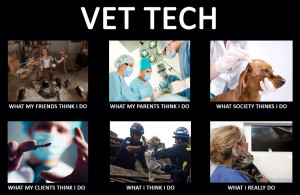 Sign up to see the rest of what’s here!