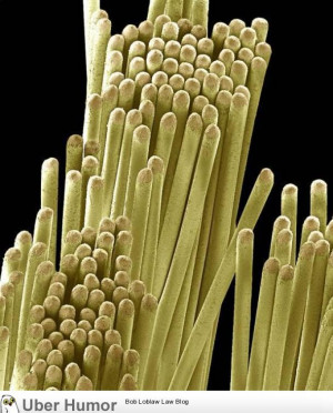 Pure beauty: Household objects magnified to stunning detail (35 ...