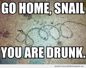go home drunk snail animal insect funny pics pictures pic picture ...