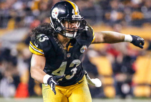 Torrey Smith Wishes Troy Polamalu 'The Best' in Retirement