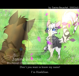 Meeting a StarClan-Warrior by JB-Pawstep
