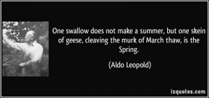 ... geese, cleaving the murk of March thaw, is the Spring. - Aldo Leopold