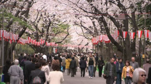 HD Pedestrian / Avenue / Tokyo / Japan – Stock Video # 332-898-031