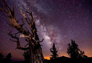 ... in the Astronomy Photographer of the Year space-pictures competition