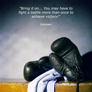 MLU Boxing Gloves w_Quote