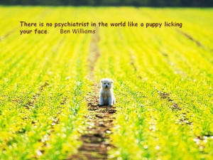 Quotes about Dogs and People .....click here to find out more ...