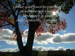 Unlike a Painting or Sentimental Vase – Quote
