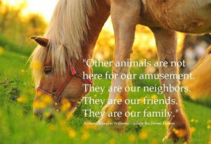 Other animals are not here for our amusement. They are our neighbors ...