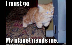 LOLCats - My Planet Needs Me