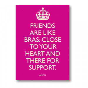 Friends Are Like Bras 1