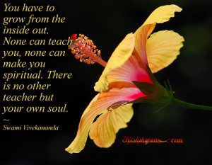 Quotes ,swami Vivekananda quotes, soul quotes, Inspirational Quotes ...