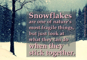 Snowflakes are one of nature's most fragile things. But just look at ...