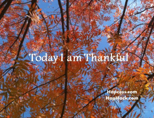 Today I am thankful.