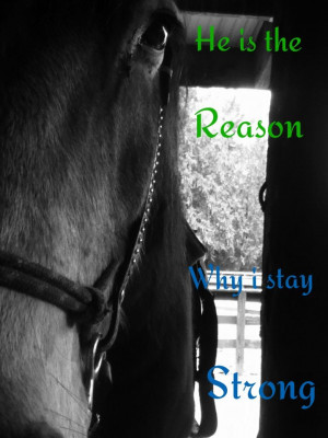 stay strong! #Horses #Horse #riding #cowgirl #horsequotes #quotes ...