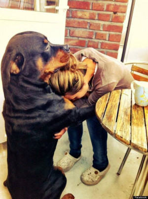 21 Reasons A Dog Is The Best Investment You Will Ever Make (PHOTOS)