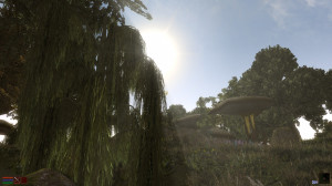 MGE is fine. My Morrowind runs smooth and looks like this... [spoiler ...