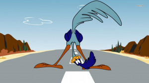 The Road Runner wallpaper