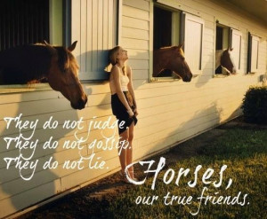 Horses are true friends