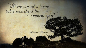 ... Proposed Wilderness Area, quote by Edward Abbey #conservation #BCAWY