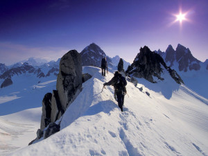 The Long Journey Home Pika Glacier Alaska - Sports Photography Desktop ...