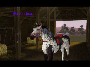 Braveheart Love Quotes