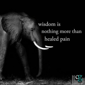 Elephant wisdom