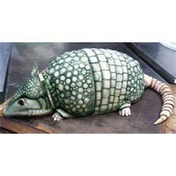 download its about Armadillo Cake Raquo Funny Bizarre Amazing Pictures ...