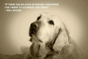 Will Rogers quote about Dogs.
