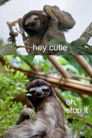 Slothy
