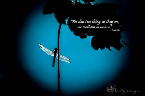 dragonfly #vision #quote #inspirefly #inspireflyimages #inspirational ...