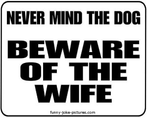 funny beware of the wife sign never mind the dog beware of the wife