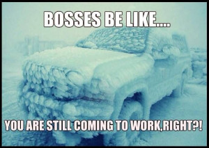 Bosses be like.....