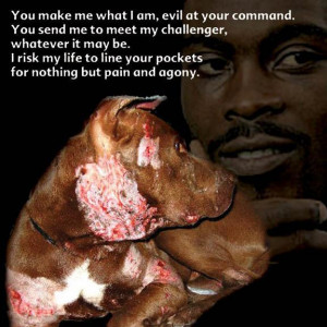 What Makes Michael Vick So Bad?
