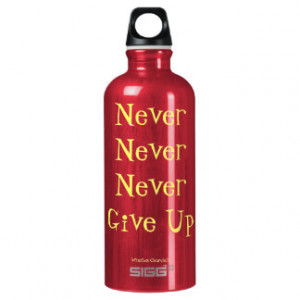 Never Never Never Give Up Quote SIGG Traveler 0.6L Water Bottle