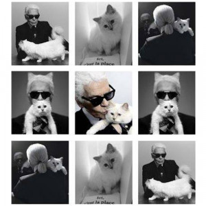 karl lagerfeld choupette accessories 2013 p1 jpg