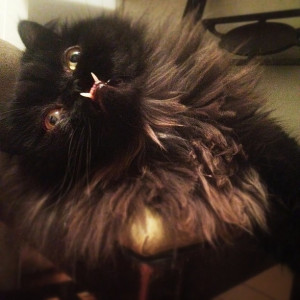 Aeroplane Overturned Sea Plane