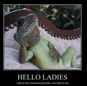 http://www.graphics99.com/hello-ladies-funny-frog-foto/